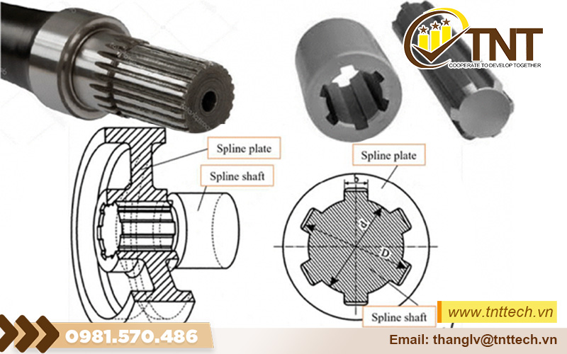 Tiêu chuẩn trục then hoa